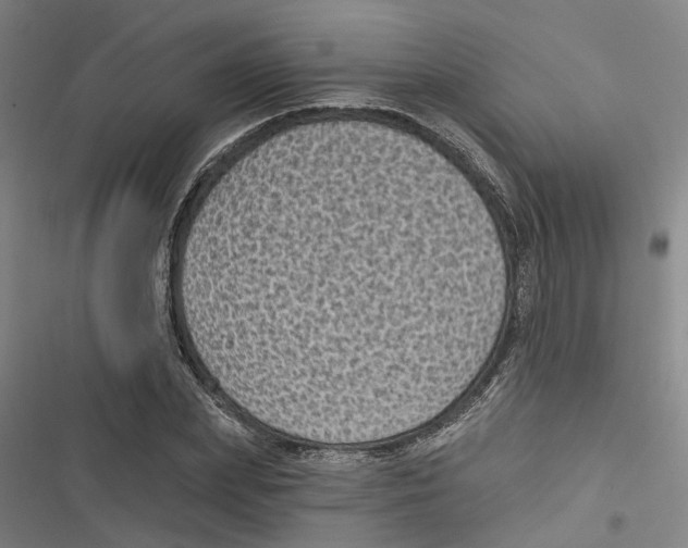 X0000116610831201001081209