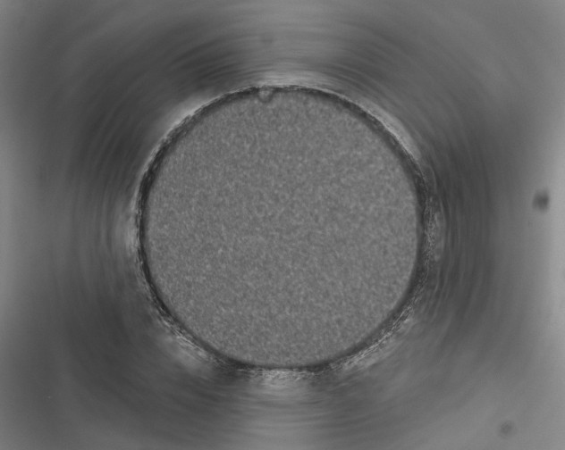 X0000116610832201001081209