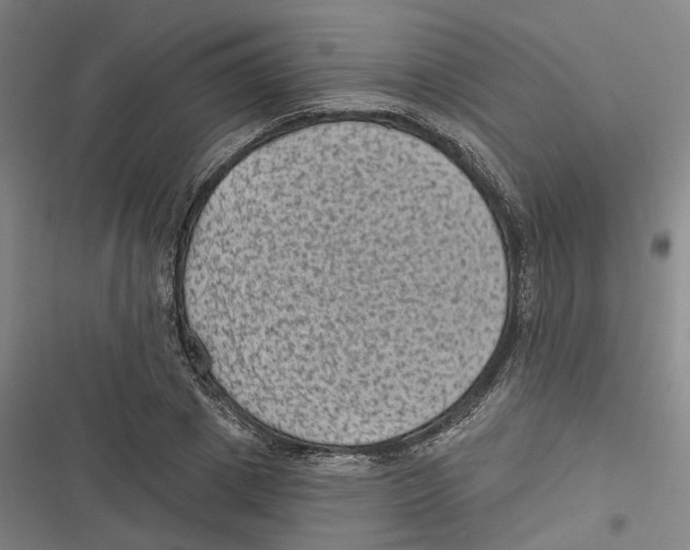 X0000116610833201001081209