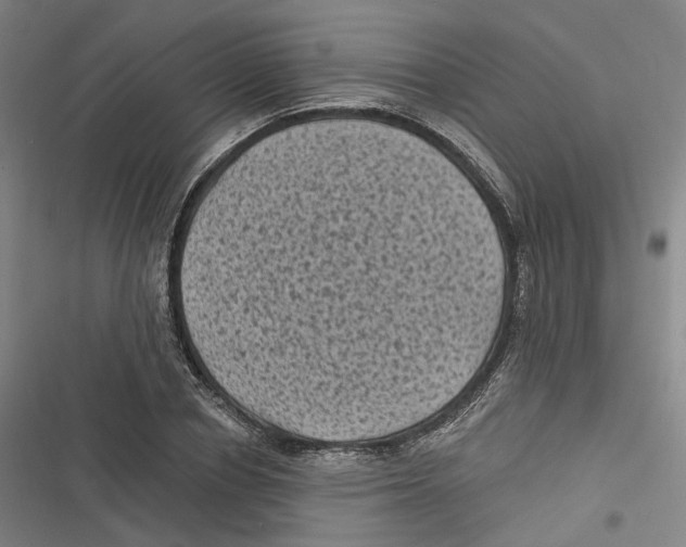 X0000116610834201001081209