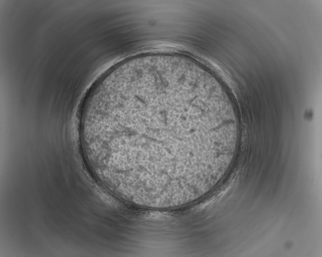 X0000116610835201001081209