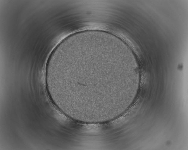 X0000116610836201001081209