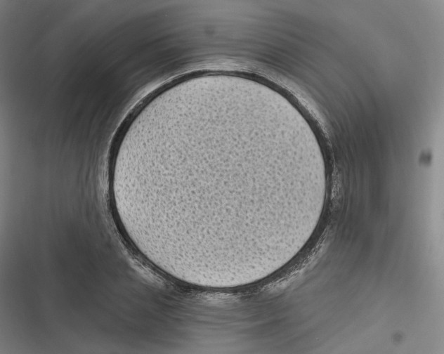 X0000116610837201001081209