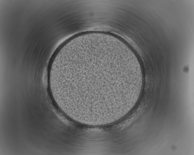 X0000116610838201001081209