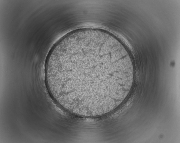 X0000116610839201001081209