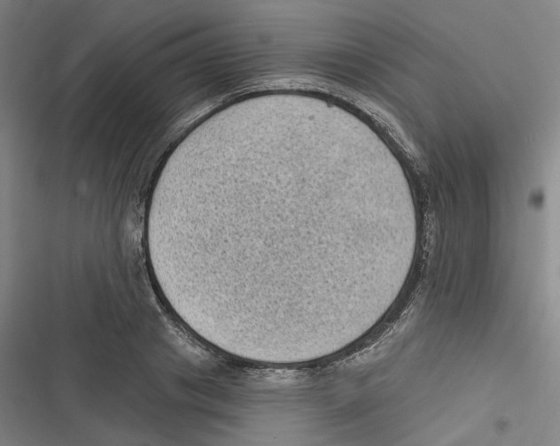 X0000116610841201001081209