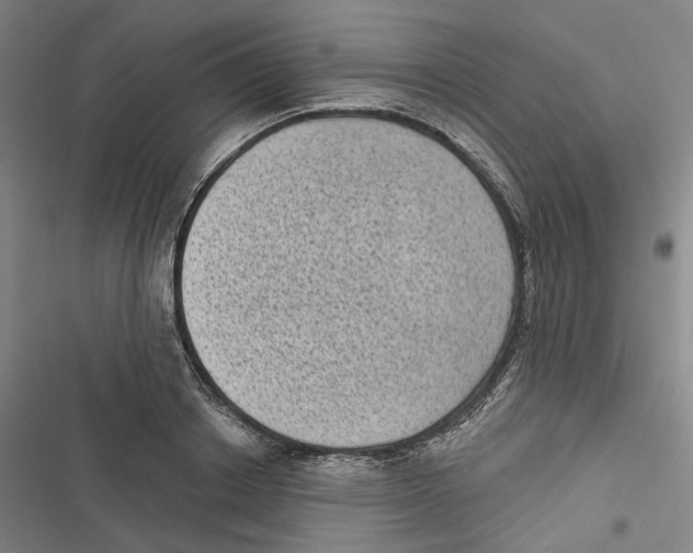 X0000116610842201001081209