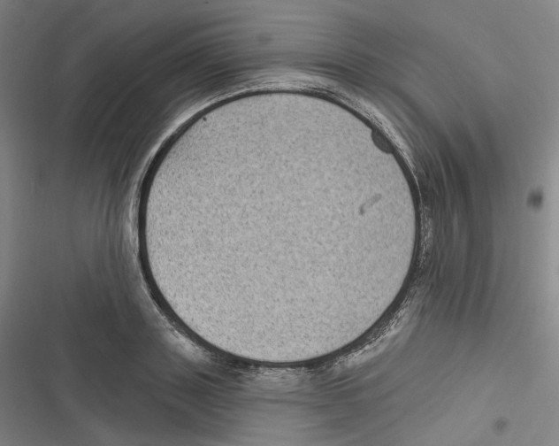 X0000116610843201001081209