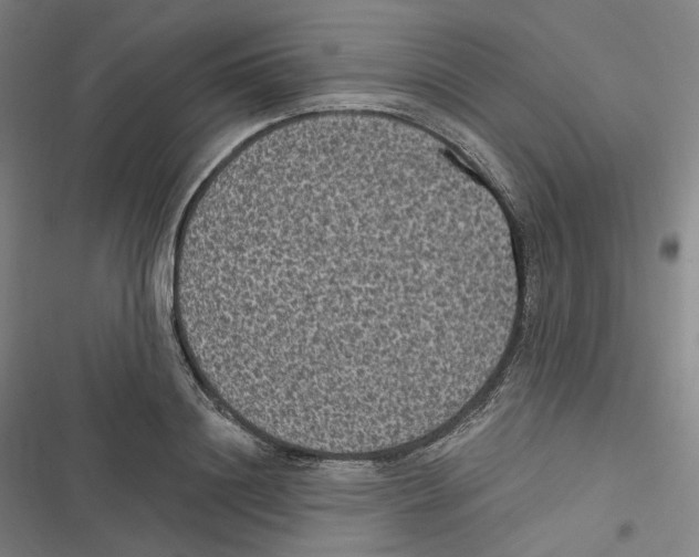 X0000116610844201001081209