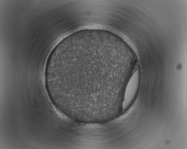 X0000116610845201001081209