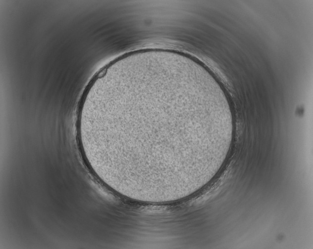 X0000116610846201001081209