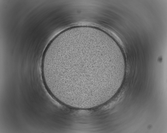 X0000116610847201001081209