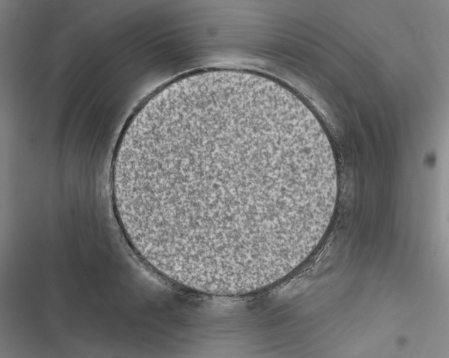 X0000116610848201001081209