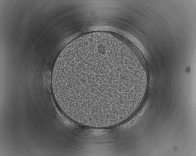 X0000116610849201001081209