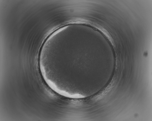 X0000116610850201001081209