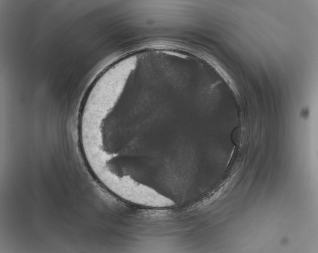 X0000116610853201001081209