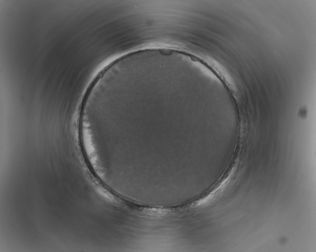 X0000116610854201001081209