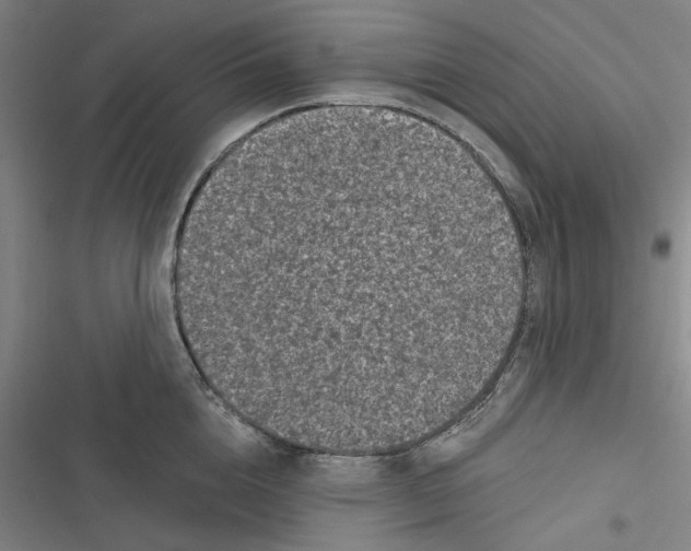 X0000116610856201001081209