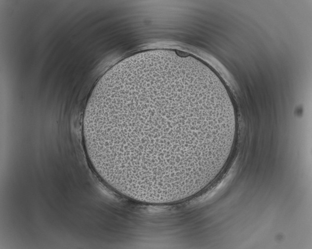 X0000116610857201001081209