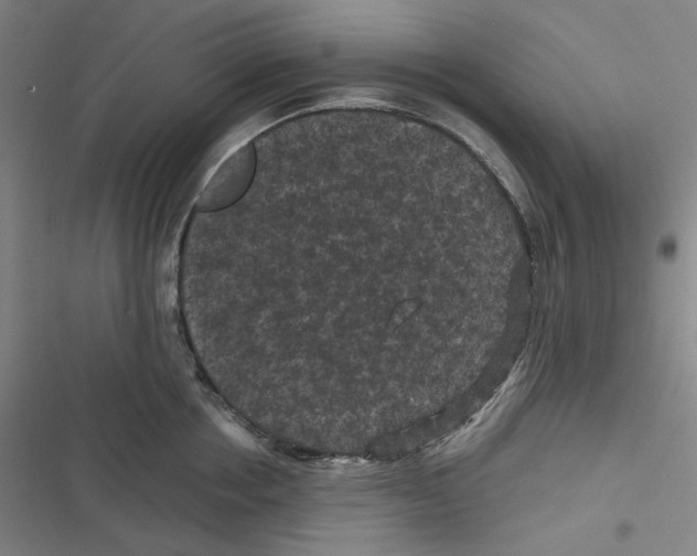 X0000116610858201001081209