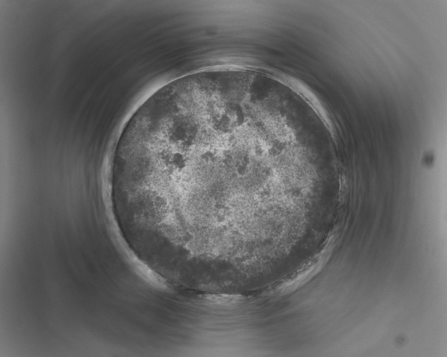 X0000116610859201001081209