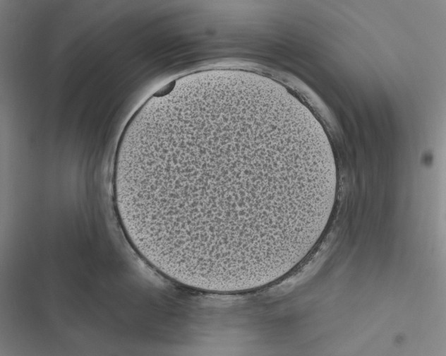 X0000116610860201001081209