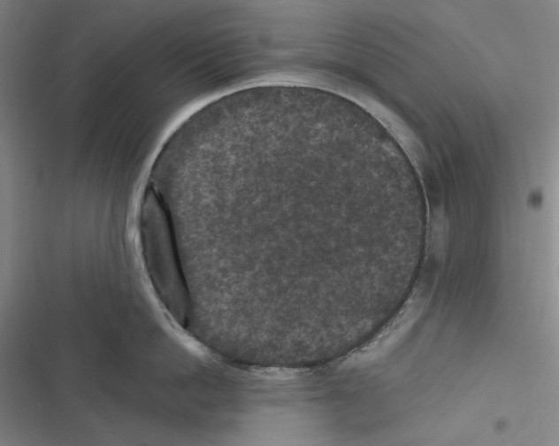 X0000116610862201001081209