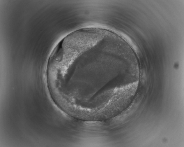 X0000116610863201001081209