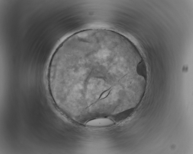 X0000116610864201001081209