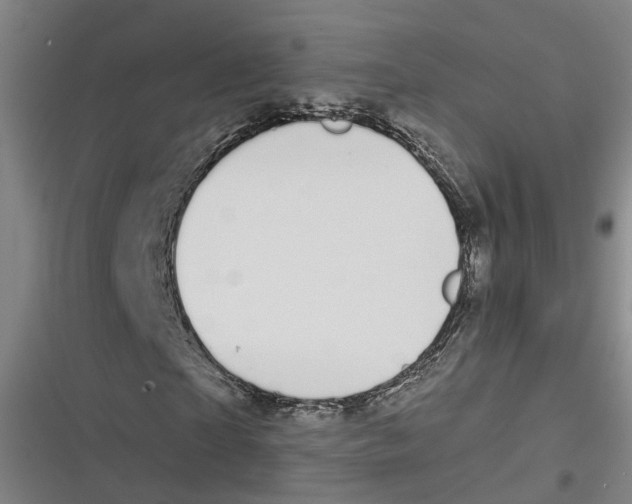 X0000116610865201001081209