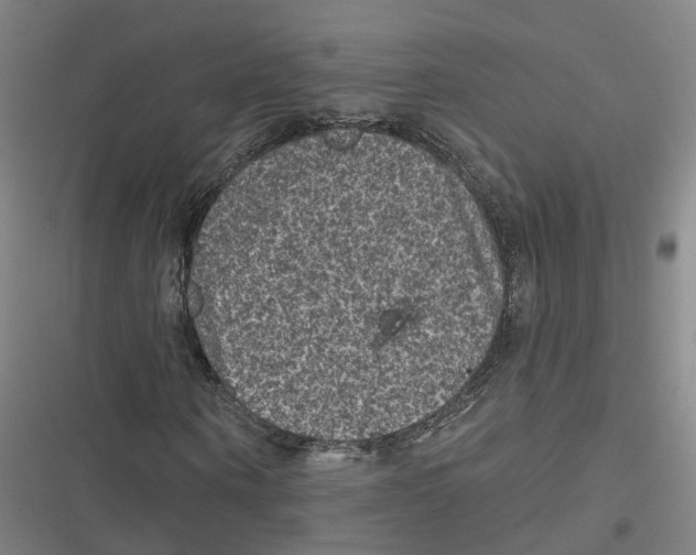 X0000116610866201001081209