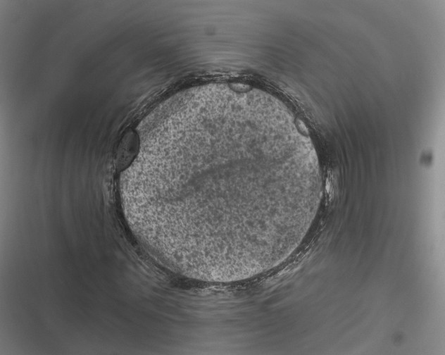 X0000116610867201001081209