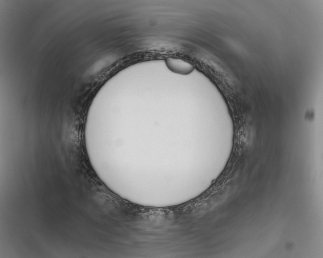 X0000116610869201001081209