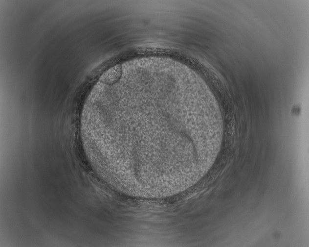 X0000116610870201001081209