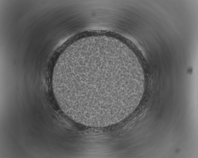 X0000116610871201001081208