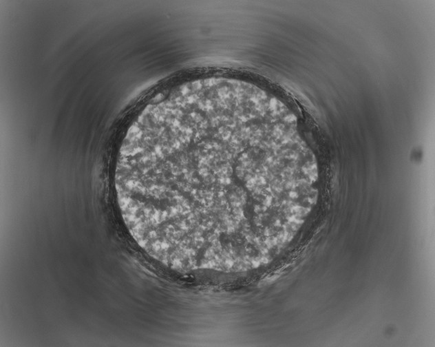 X0000116610872201001081208