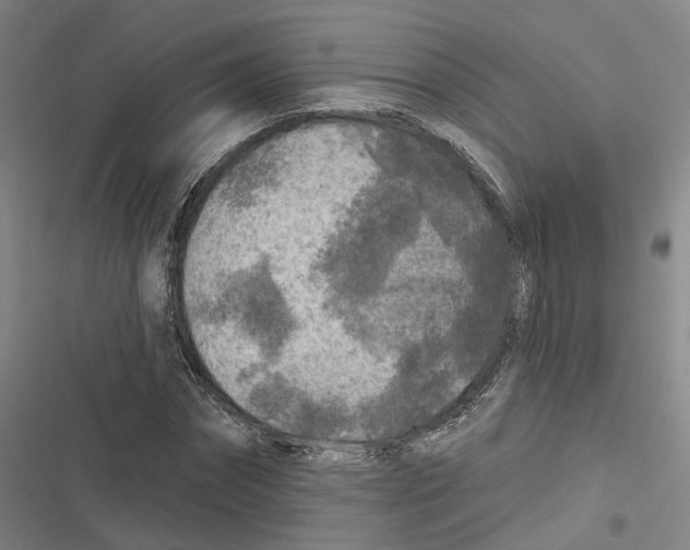 X0000116610874201001081208