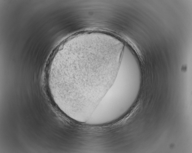 X0000116610876201001081208