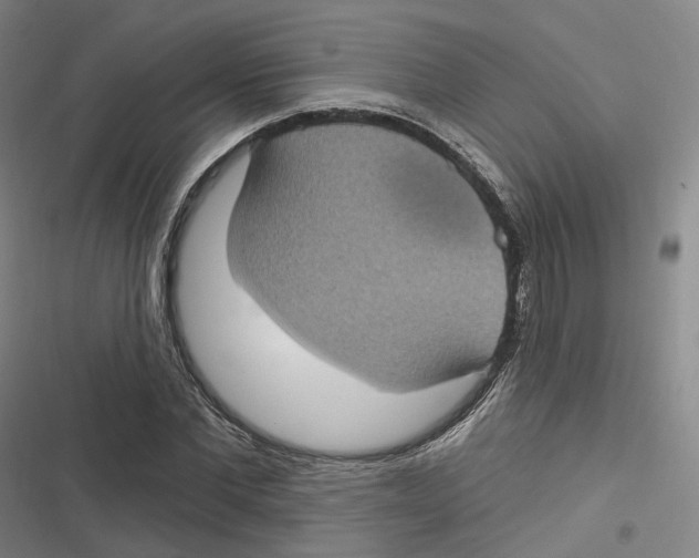 X0000116610877201001081208