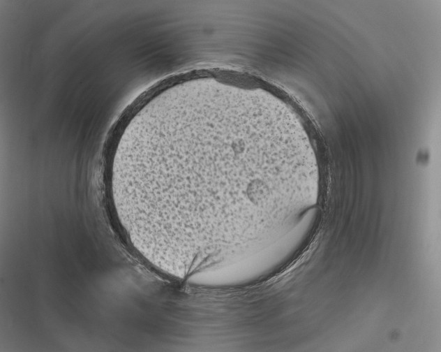 X0000116610878201001081208