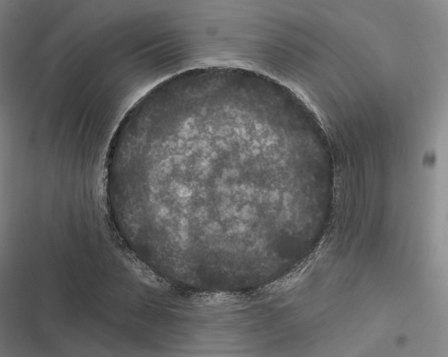 X0000116610879201001081208