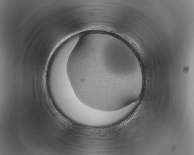 X0000116610880201001081208