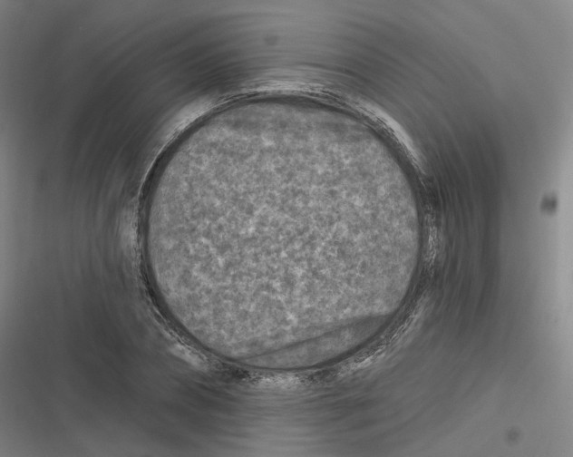 X0000116610882201001081208