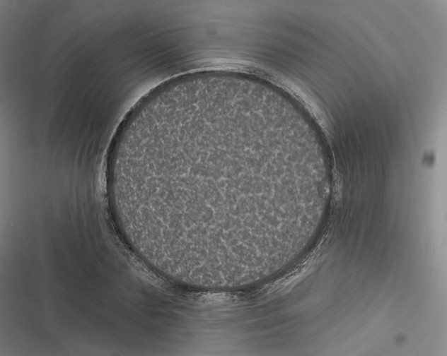 X0000116610883201001081208