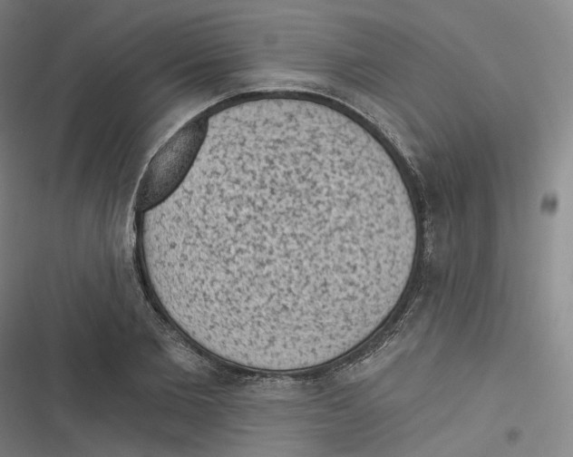 X0000116610885201001081208