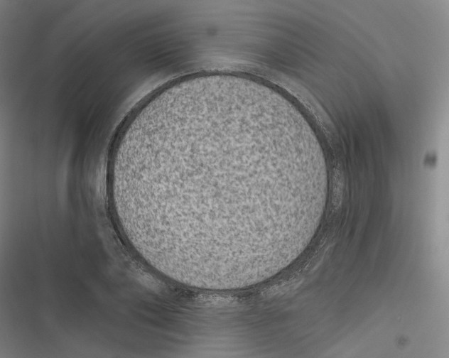 X0000116610886201001081208