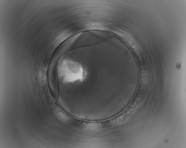 X0000116610889201001081208