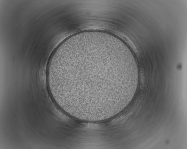 X0000116610890201001081208