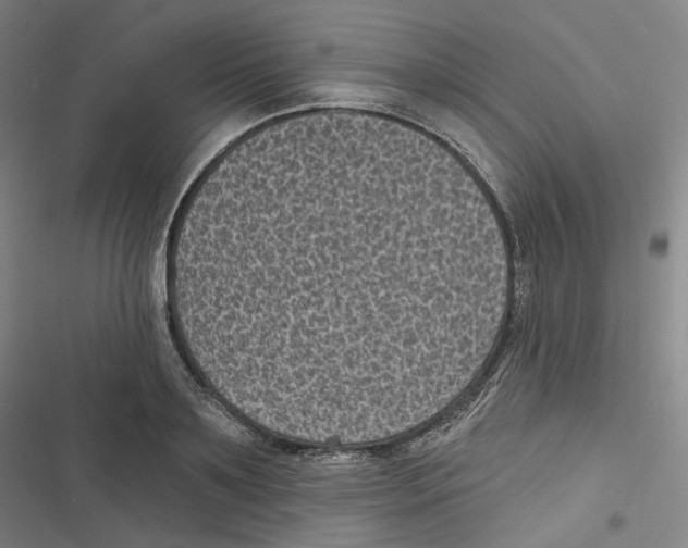 X0000116610891201001081208