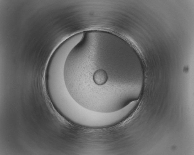 X0000116610892201001081208